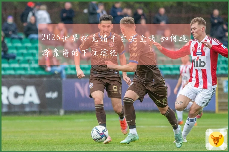 2026世界杯竞猜平台安全吗 如何选择靠谱的下注途径