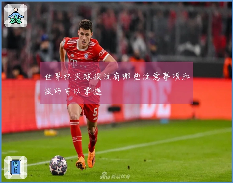 世界杯买球投注有哪些注意事项和技巧可以掌握