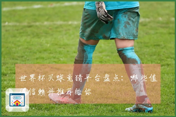 世界杯买球竞猜平台盘点：哪些值得信赖并推荐给你