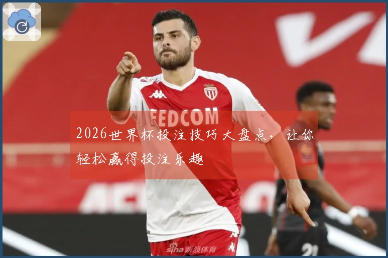 2026世界杯投注技巧大盘点，让你轻松赢得投注乐趣