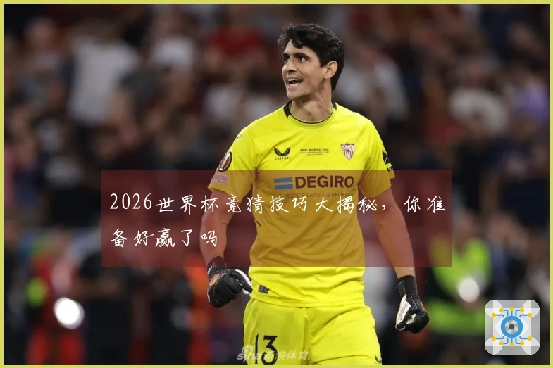 2026世界杯竞猜技巧大揭秘，你准备好赢了吗
