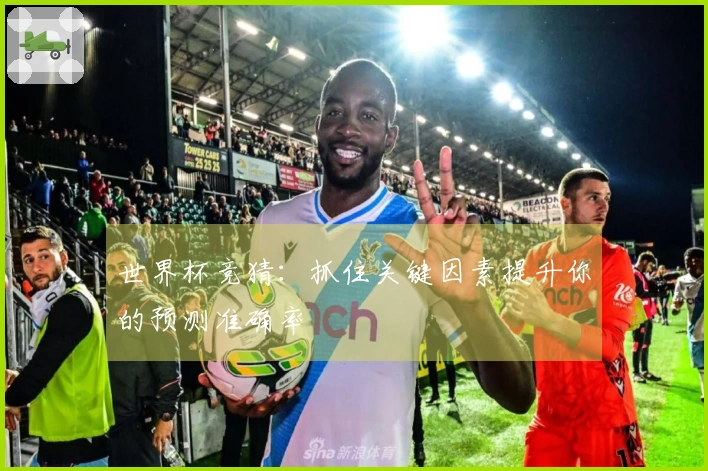 世界杯竞猜：抓住关键因素提升你的预测准确率