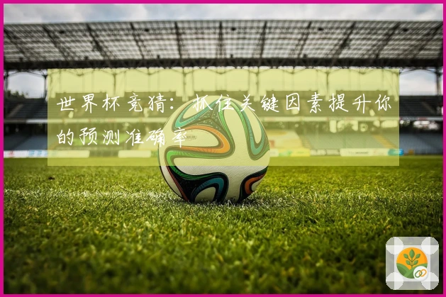 世界杯竞猜:抓住关键因素提升你的预测准确率