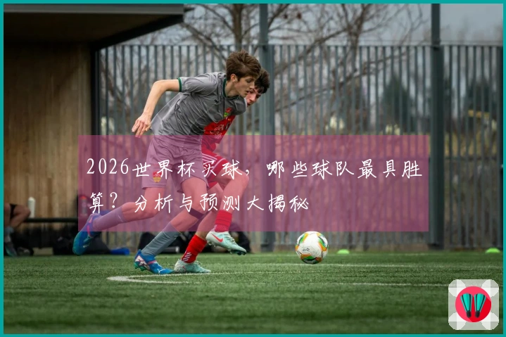 2026世界杯买球，哪些球队最具胜算？分析与预测大揭秘